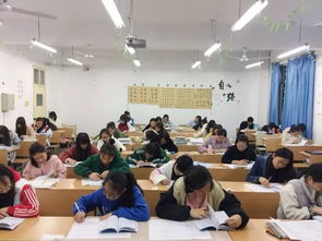 专科小学教育专业可以当老师吗,专科学小学教育可以当老师吗