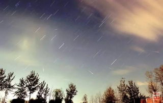 狮子座流星雨：夜空中最闪亮的流星雨之一