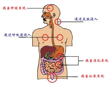 常见的职业病危害因素及预防