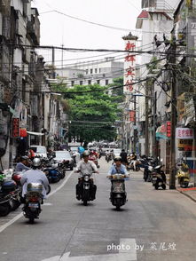 一路向南,自驾畅游湛江湾雷州半岛全攻略