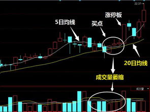 股价（收盘价）在20日均线价格上方5%，且连续两天（首次，排除涨幅差大于10%）。