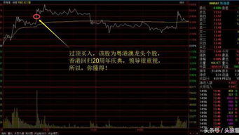 如何快速地知道一个行业里的龙头是哪支股票?