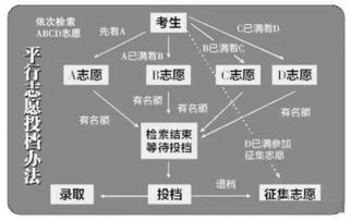 96个平行志愿录取规则及填报技巧，六个平行志愿怎么录取 录取流程是怎样的