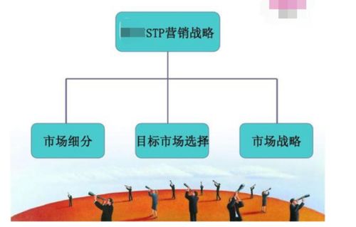 细分市场和选择目标市场以及市场定位是什么关系