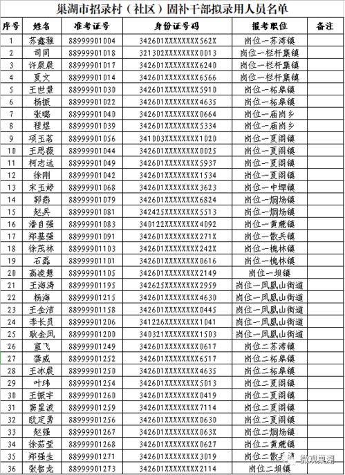 36名 巢湖村 社区 固补干部拟录取名单出炉,有你认识的人吗