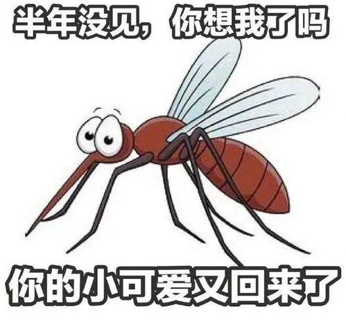 什么血型最容易受蚊子叮?