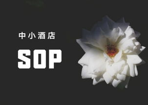 SOP在中小酒店,到底有没有价值