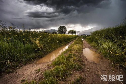 梦见走泥泞的小路(梦见走泥泞小路,到处都是水)