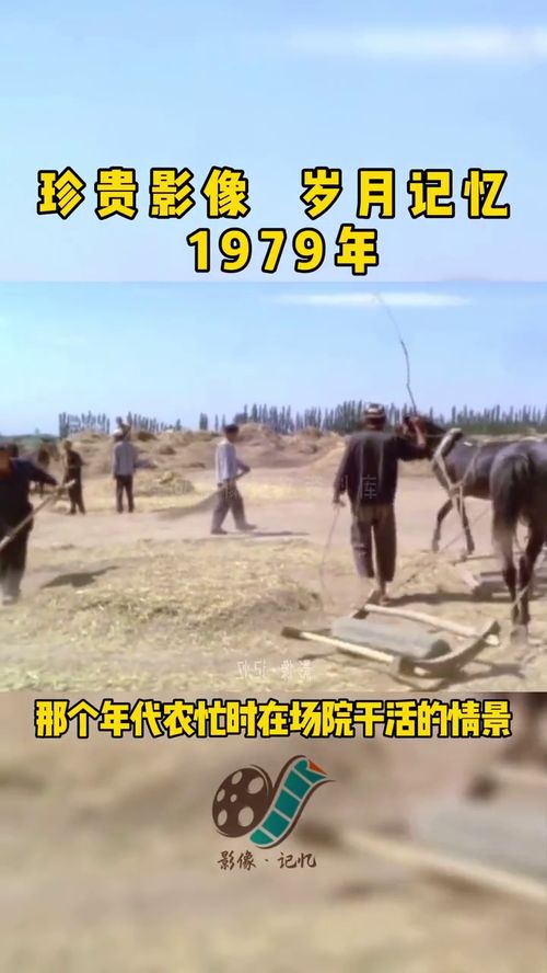 70年代农忙干活的情景 