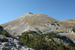 勇攀高峰，一个登山者的励志传奇，登山励志故事简短