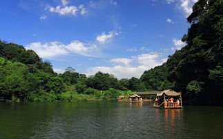 峨眉山寺庙在峨眉眉山上市事件中扮演什么角色