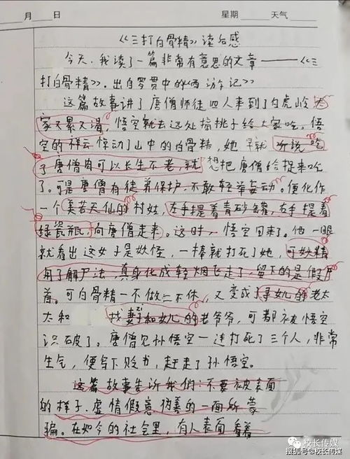 爱干净的爸爸作文400字左右