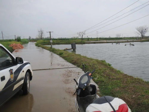 向社会公布辖区道路交通安全隐患路段