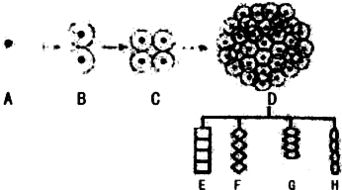 关于生物.下列说法正确的是 A.绝大多数生物需要吸入氧气.呼出二氧化碳B.蘑菇属于植物.用种子繁殖后代C.所有生物都是由细胞构成的D.动物能对外界刺激作出有规律反应 