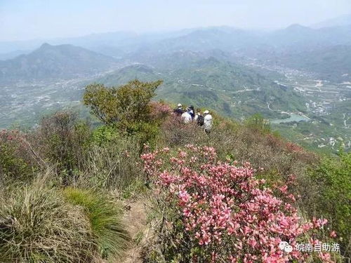 带你去看醉美杜鹃花,宁国汤公山赏花自驾游全攻略