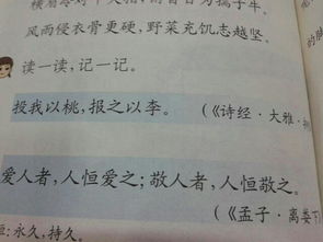 名言名句加意思是什么