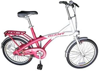 我想买台自行车 小女生骑 