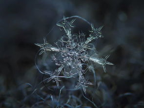 大雪节气 关于雪的冷知识你知道多少