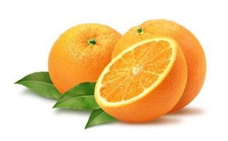 柳丁是什么水果,香橙是什么果子