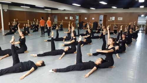 全国前十名的舞蹈学校 北京国际标准舞研修学院是几本