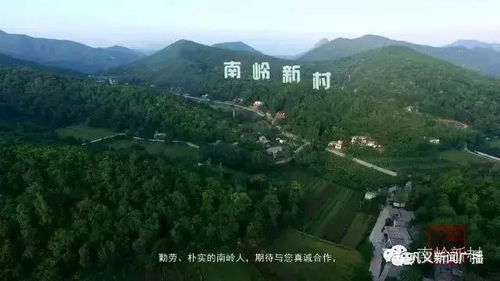 巩义这个村入选 全国生态文化村