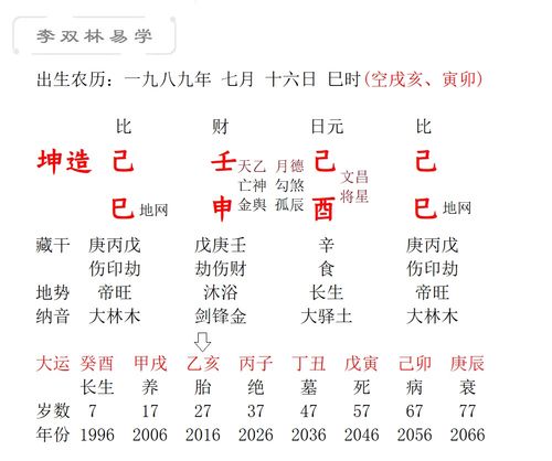 已巳年乙亥月丁亥日甲辰时