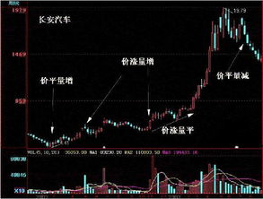 金长江网上交易财智版怎么选股票