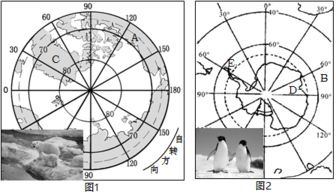 读图1.2完成相关要求 1 判断图1和图2分别为哪一极地地区.并说出两个判断依据. 2 填出图1.图2中字母代表的地理事物的名称 大洲A北美洲,大洋B印度洋,岛屿C格陵兰岛 