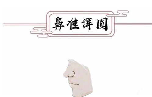 俗语说 女人鼻头圆,旺子增孙富3代 耳垂长得长,福大寿命长