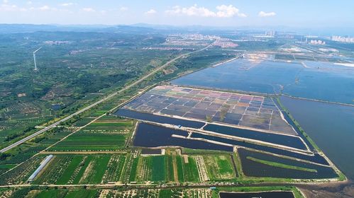 多彩盐田调色板 生态靓丽风景美