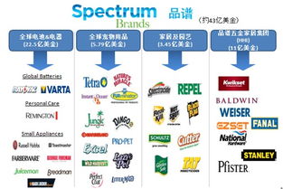 请问美国品谱控股公司是一家什么样的公司？主要是做什么的？其实力怎么样啊？知道的请说说啊，谢谢