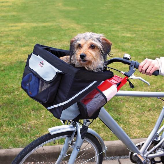 想要带着狗狗一起骑车,你需要了解这八点,保护自己和狗狗的安全