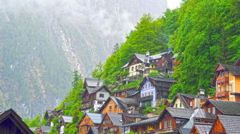 空山新雨后，万木皆洗翠，空山什么雨后,天气晚来秋