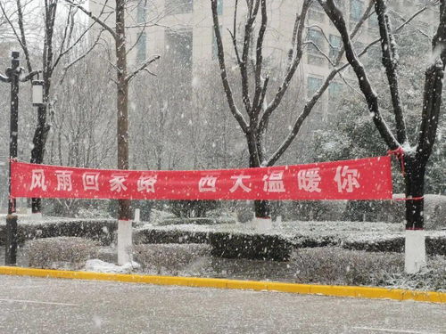 不易却温暖,西大学子的风雪回家路