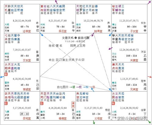 紫微斗数全书 太微赋 七杀廉贞同位,路上埋尸 破军暗曜同乡,水中作冢 文曲 