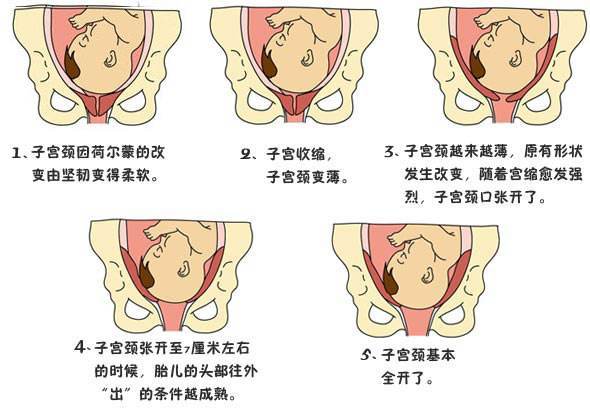 原创孕晚期，要想胎儿早“入盆”，常做这2个运动，助你轻松“卸货”