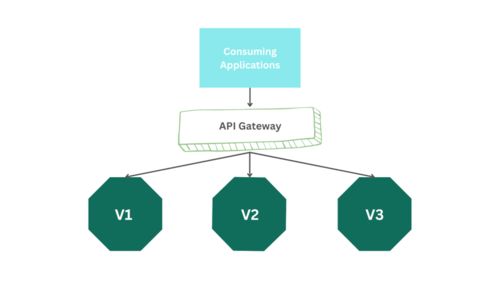 软件开发 使用开源 API 网关实现可伸缩 API 