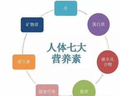 用营养素治病的功能医学是骗人的吗(营养素能治病吗?)