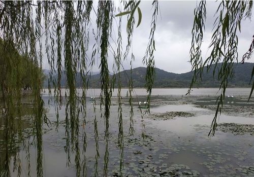 给自己放个假 慈溪鸣鹤古镇 方家河头村 五磊山景区 白洋湖一日游攻略