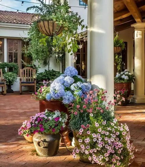 庭院种花 这些花既易于养护又美了整个院子