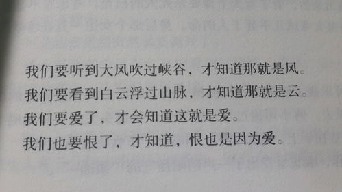 盘点最有魅力的前100名小说男主角