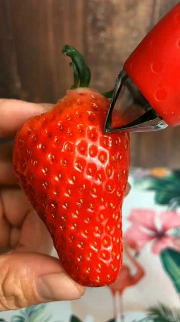 现在的草莓非常的大,又大又甜,吃起来特别的爽 