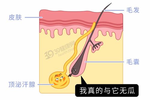 女生的腋毛太多,是一种什么体验 为什么别人的腋下那么干净