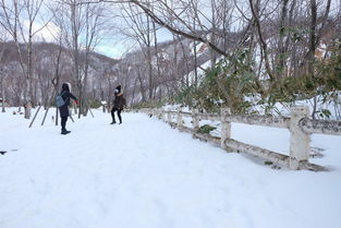 行走记录 请一定要在冬季里去一次日本