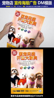 宠物店可爱宣传单广告DM设计模版图片素材 高清psd模板下载 33.30MB DM单页大全 