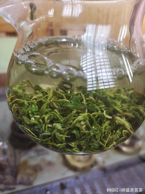 秋季崂山绿茶价格在多少钱一斤呢