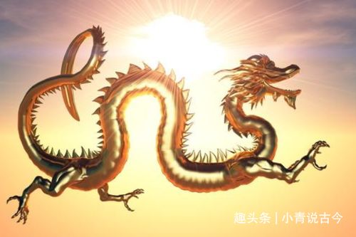 2025属龙人运势?2025属龙运势及运程详解