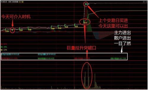 400分找牛b同花顺 分时抓涨停 T+0指标 牛指标 还要给予奖励加分