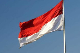 印度尼西亚国旗(红旗白杆是什么国旗)（印度尼西亚国旗颜色）