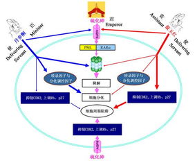 并购给企业带来的财务协同效应有哪些